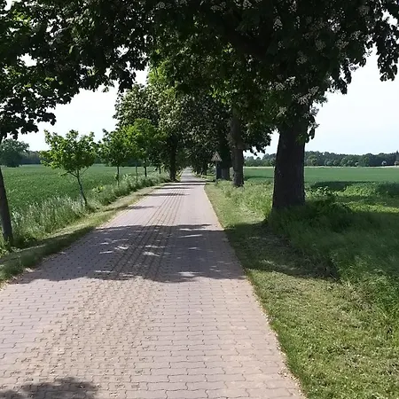 Haus Willi *